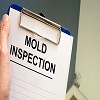 Nutmeg Mold Inspection